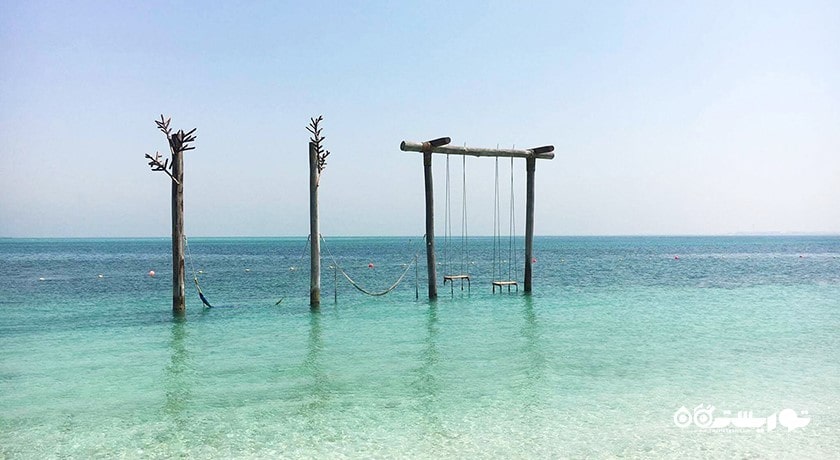 سرگرمی جزیره زایا نوری شهر امارات متحده عربی کشور ابوظبی