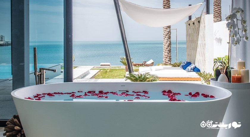 سرگرمی جزیره زایا نوری شهر امارات متحده عربی کشور ابوظبی