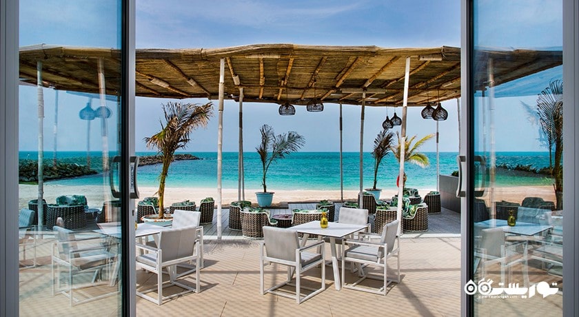 سرگرمی جزیره زایا نوری شهر امارات متحده عربی کشور ابوظبی