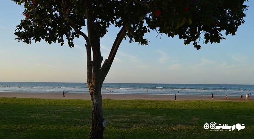 سرگرمی ساحل القرم شهر امارات متحده عربی کشور ابوظبی