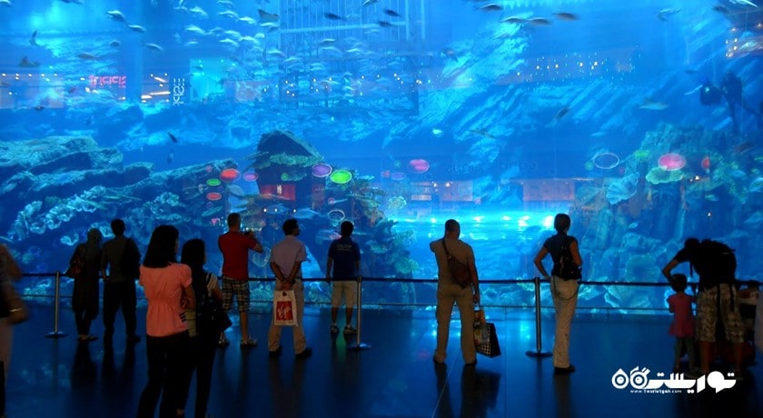  موزه تاریخ و آکواریوم ابوظبی شهر امارات متحده عربی کشور ابوظبی