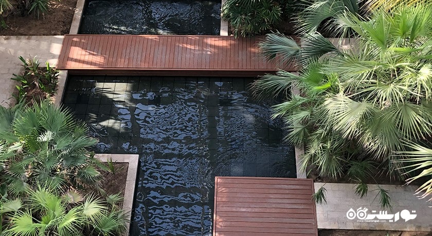  پارک ام الامارات شهر امارات متحده عربی کشور ابوظبی