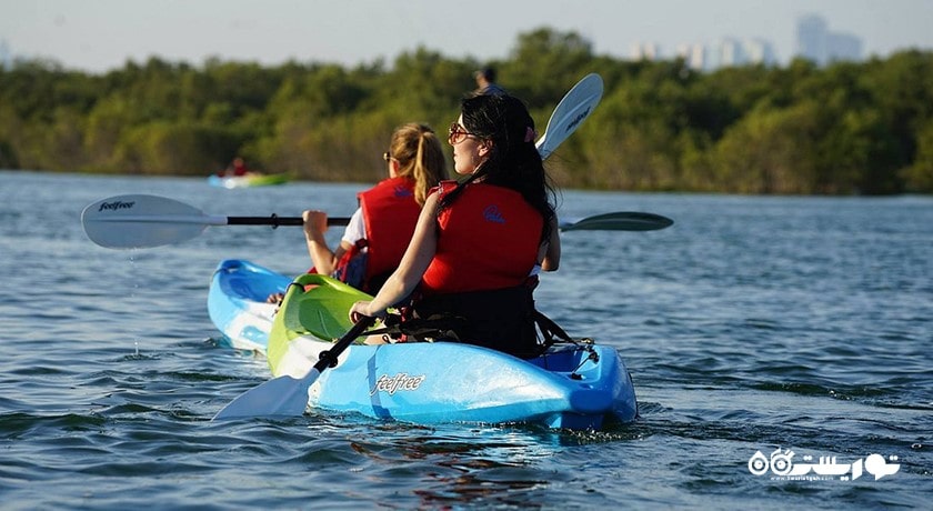  پارک ملی جنگل حرا شهر امارات متحده عربی کشور ابوظبی