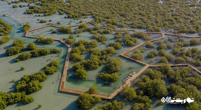  پارک ملی جنگل حرا شهر امارات متحده عربی کشور ابوظبی