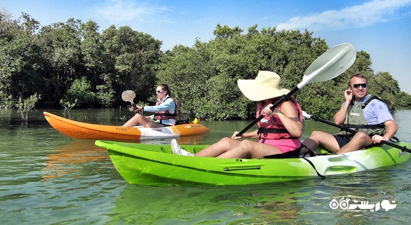 سرگرمی تورهای کایاک سواری جنگل حرا شهر امارات متحده عربی کشور ابوظبی