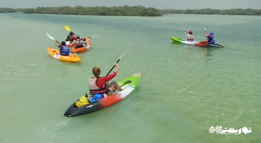 سرگرمی تورهای کایاک سواری جنگل حرا شهر امارات متحده عربی کشور ابوظبی