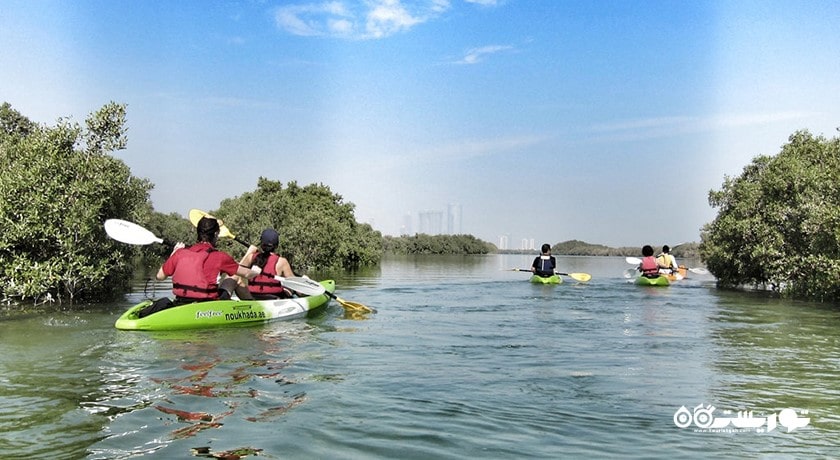 سرگرمی تورهای کایاک سواری جنگل حرا شهر امارات متحده عربی کشور ابوظبی