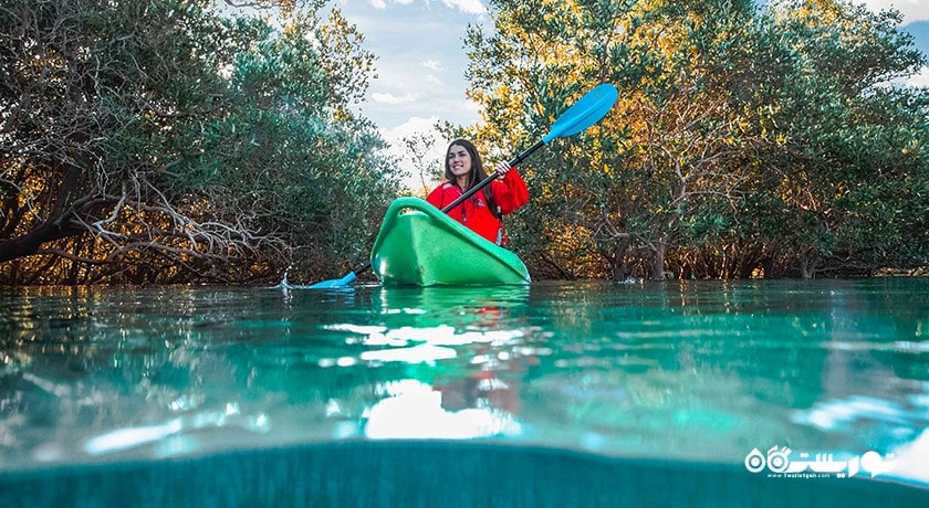 سرگرمی تورهای کایاک سواری جنگل حرا شهر امارات متحده عربی کشور ابوظبی