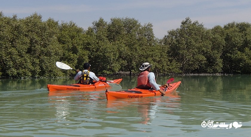 سرگرمی تورهای کایاک سواری جنگل حرا شهر امارات متحده عربی کشور ابوظبی