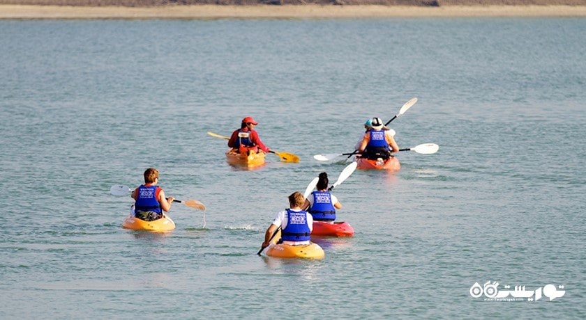 سرگرمی تورهای کایاک سواری جنگل حرا شهر امارات متحده عربی کشور ابوظبی