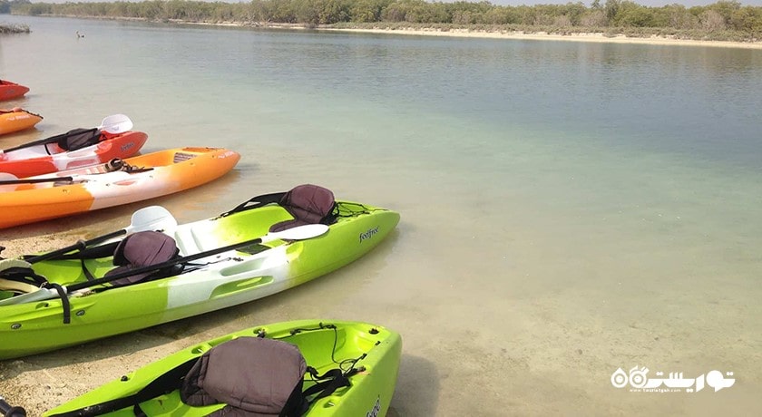 سرگرمی تورهای کایاک سواری جنگل حرا شهر امارات متحده عربی کشور ابوظبی
