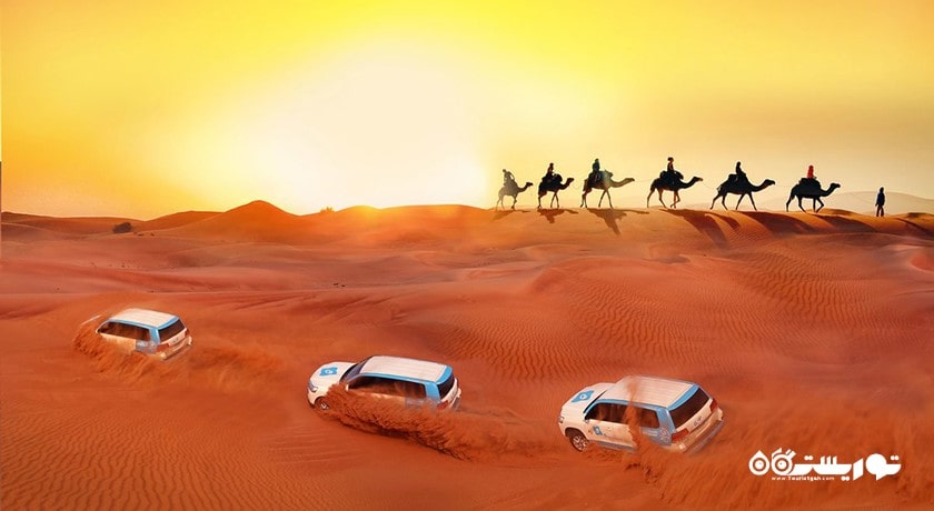 سافاری صحرایی ابوظبی -  شهر ابوظبی