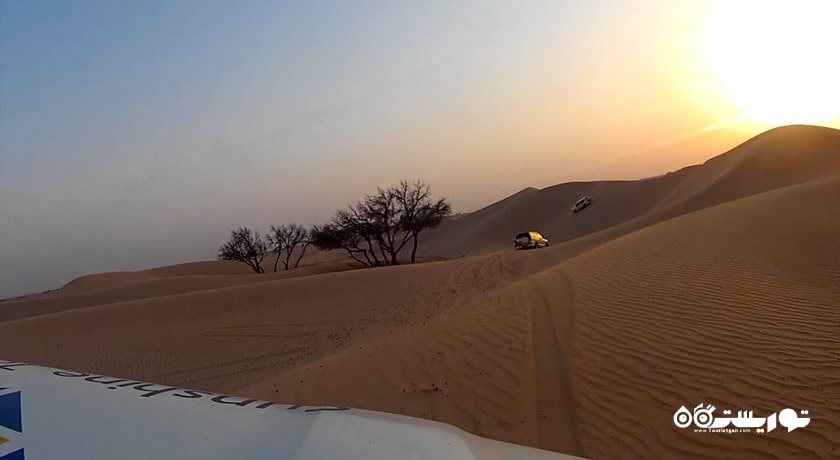 سافاری صحرایی ابوظبی -  شهر ابوظبی