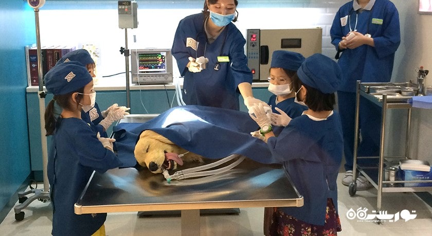 سرگرمی کیدزانیا ابوظبی شهر امارات متحده عربی کشور ابوظبی