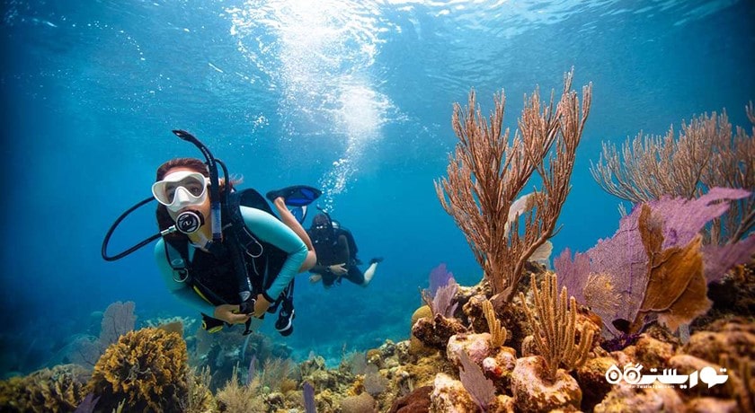 غواصی در المهاره -  شهر ابوظبی