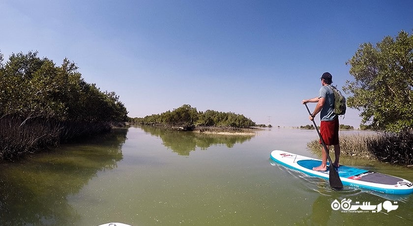 سرگرمی پاروزنی ایستاده در ابوظبی شهر امارات متحده عربی کشور ابوظبی