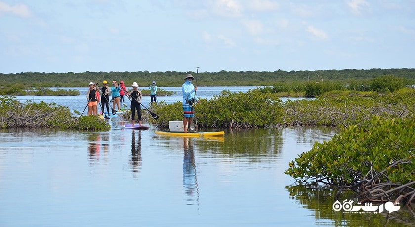 سرگرمی پاروزنی ایستاده در ابوظبی شهر امارات متحده عربی کشور ابوظبی
