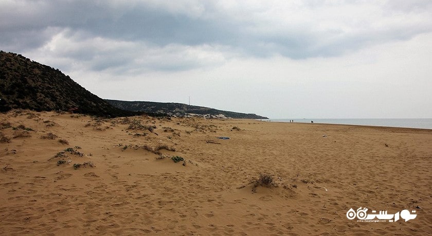 سرگرمی ساحل طلایی کارپاس شهر قبرس شمالی کشور نیکوزیای شمالی