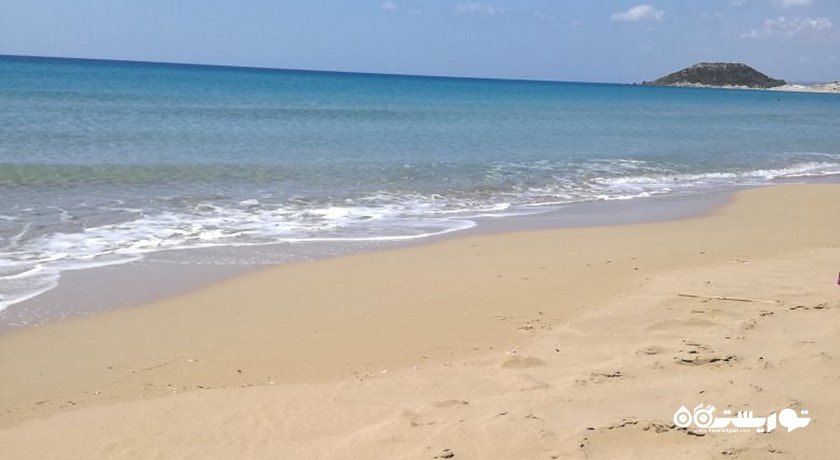 سرگرمی ساحل طلایی کارپاس شهر قبرس شمالی کشور نیکوزیای شمالی