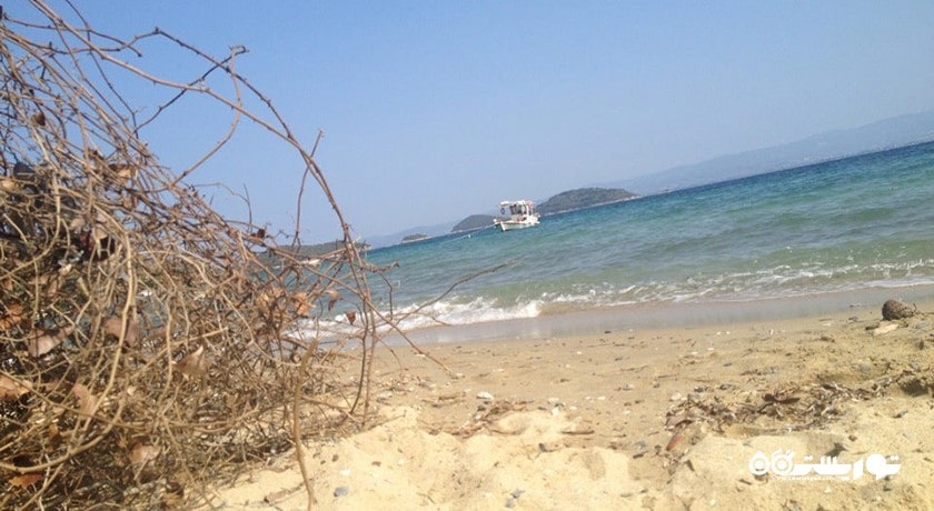 سرگرمی ساحل آگیوس فیلون، دیپکارپاز شهر قبرس شمالی کشور نیکوزیای شمالی