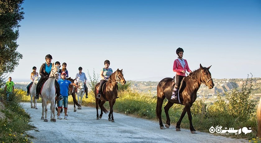 سرگرمی اسب سواری در قبرس شمالی شهر قبرس شمالی کشور نیکوزیای شمالی