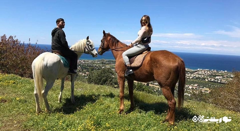سرگرمی اسب سواری در قبرس شمالی شهر قبرس شمالی کشور نیکوزیای شمالی