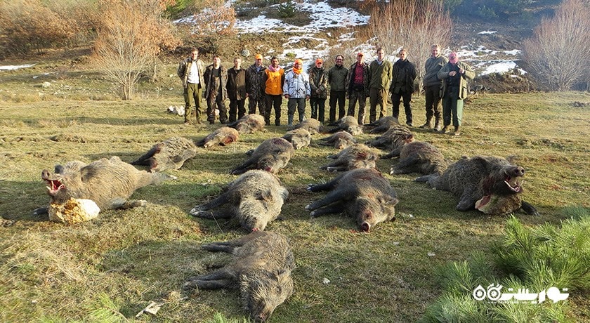 سرگرمی شکار در قبرس شمالی شهر قبرس شمالی کشور نیکوزیای شمالی