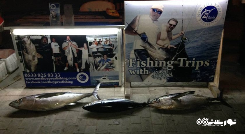 سرگرمی ماهیگیری در قبرس شمالی شهر قبرس شمالی کشور نیکوزیای شمالی