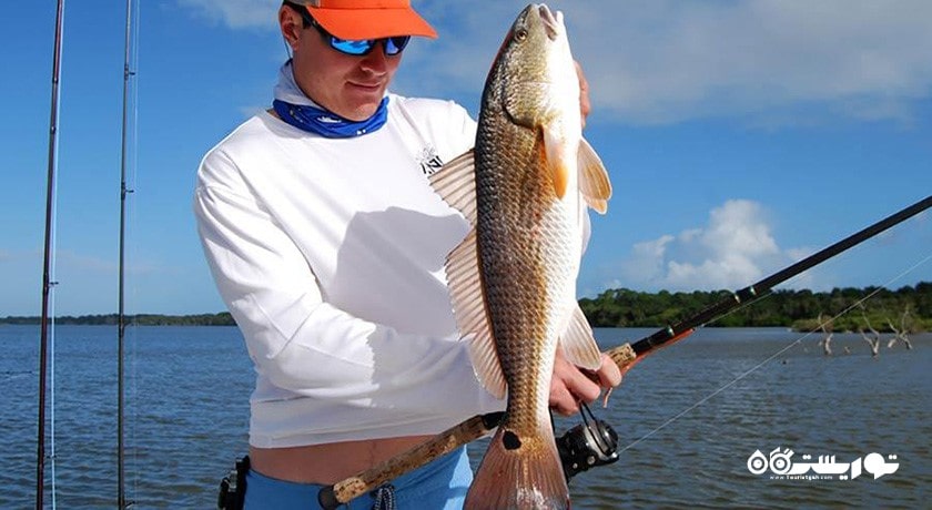 سرگرمی ماهیگیری در قبرس شمالی شهر قبرس شمالی کشور نیکوزیای شمالی