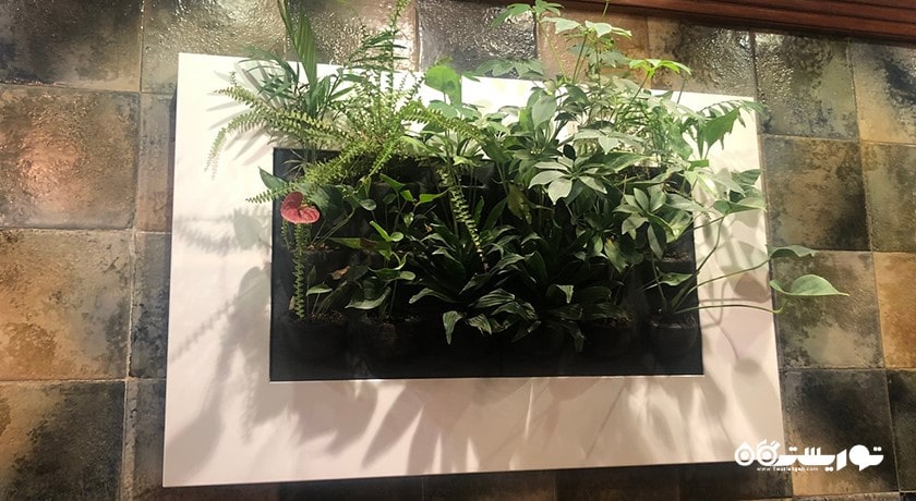 رستوران مزایا -  شهر بغداد