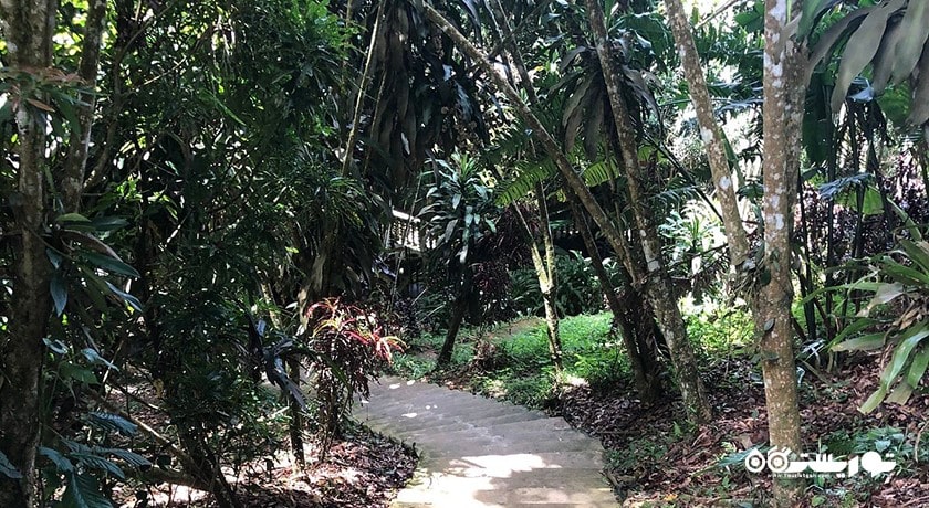  باغ مخفی بودا شهر تایلند کشور کو سامویی