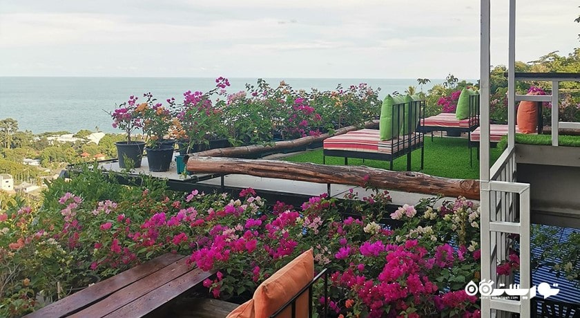  سکوی مشاهده لامای شهر تایلند کشور کو سامویی