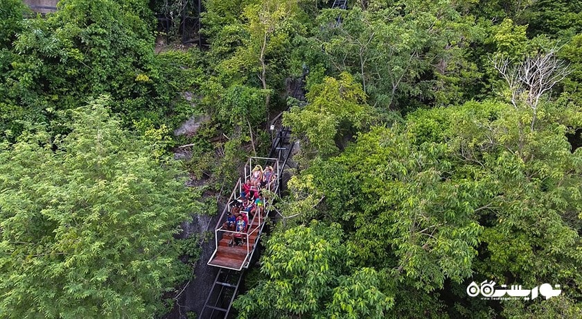  سکوی مشاهده لامای شهر تایلند کشور کو سامویی