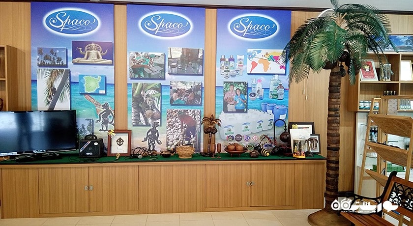  موزه نارگیل شهر تایلند کشور کو سامویی