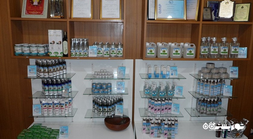  موزه نارگیل شهر تایلند کشور کو سامویی