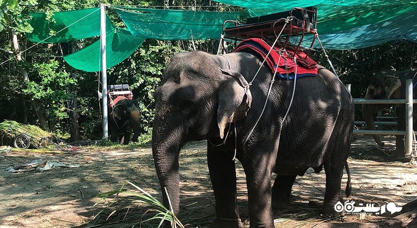  آبشارهای نا مو آنگ شهر تایلند کشور کو سامویی