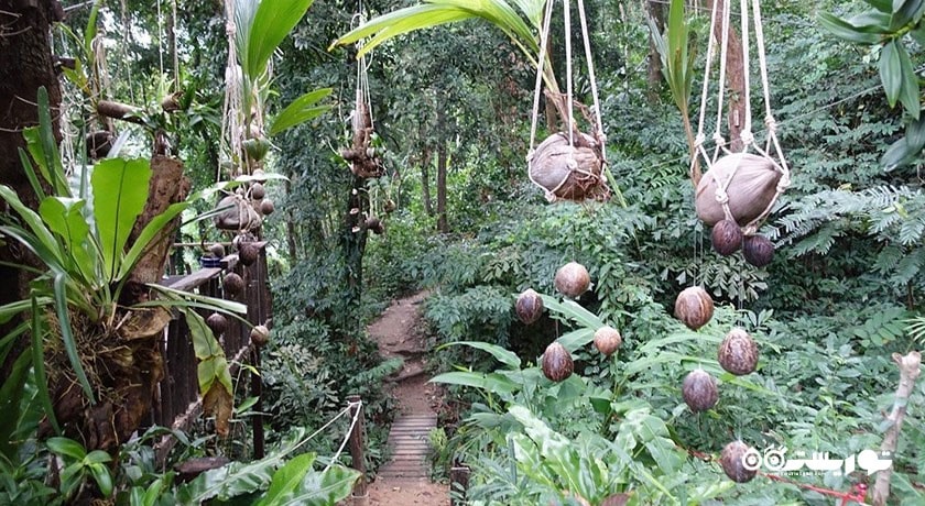  آبشار تان روآ شهر تایلند کشور کو سامویی