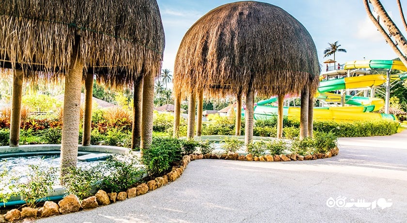 سرگرمی پارک آبی فیل صورتی سامویی شهر تایلند کشور کو سامویی