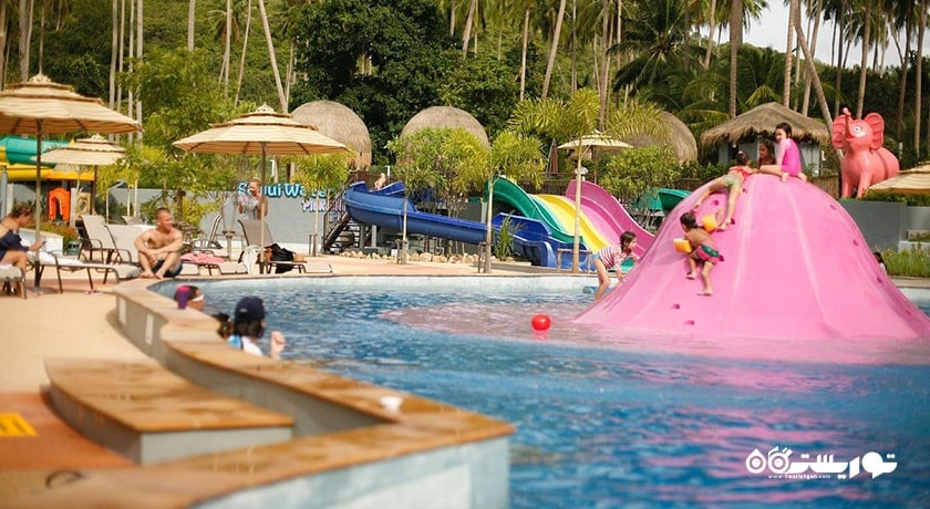 سرگرمی پارک آبی فیل صورتی سامویی شهر تایلند کشور کو سامویی