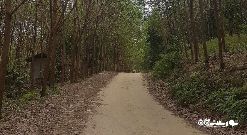  آبشار خونسی شهر تایلند کشور کو سامویی