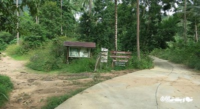  آبشار وانورن شهر تایلند کشور کو سامویی