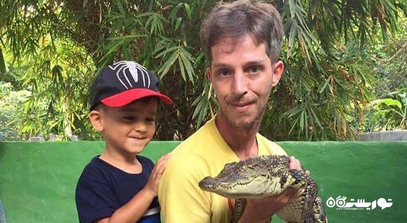  مزرعه کروکودیل سامویی شهر تایلند کشور کو سامویی