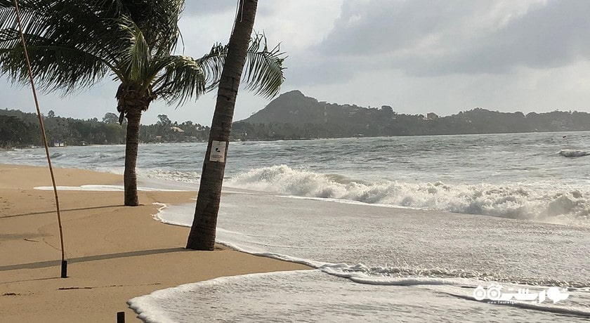 ساحل لامای -  شهر کو سامویی