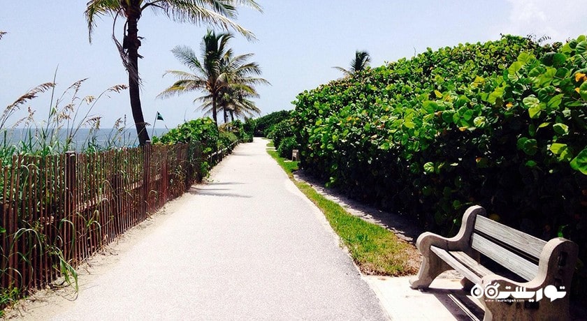 سرگرمی ساحل کاج مرجانی شهر تایلند کشور کو سامویی