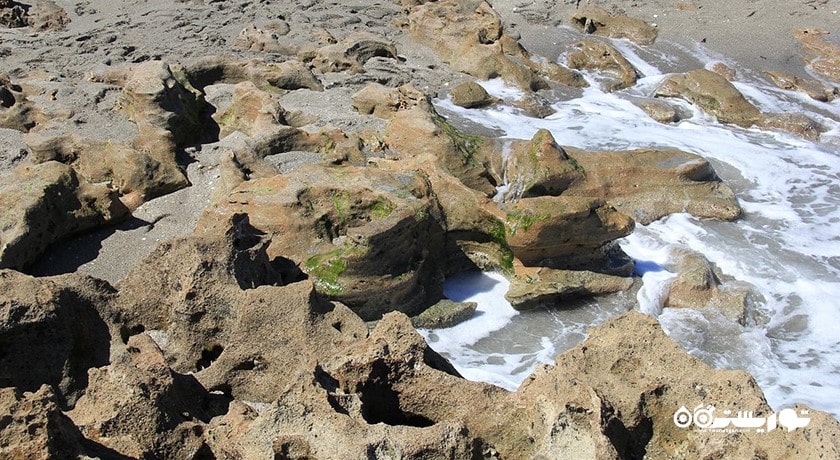 سرگرمی ساحل کاج مرجانی شهر تایلند کشور کو سامویی