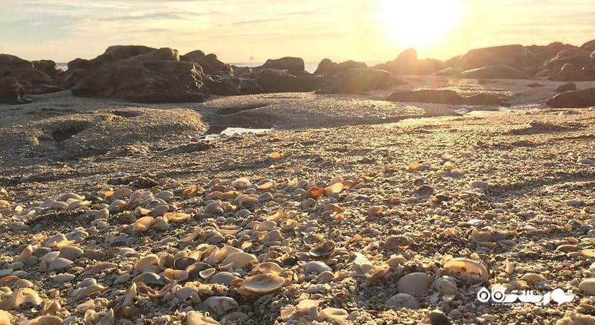 سرگرمی ساحل کاج مرجانی شهر تایلند کشور کو سامویی