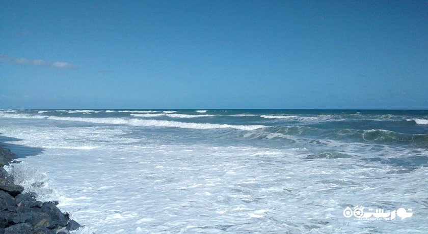 ساحل کاج مرجانی -  شهر کو سامویی