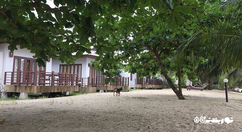 سرگرمی ساحل آئو پانگ کا شهر تایلند کشور کو سامویی