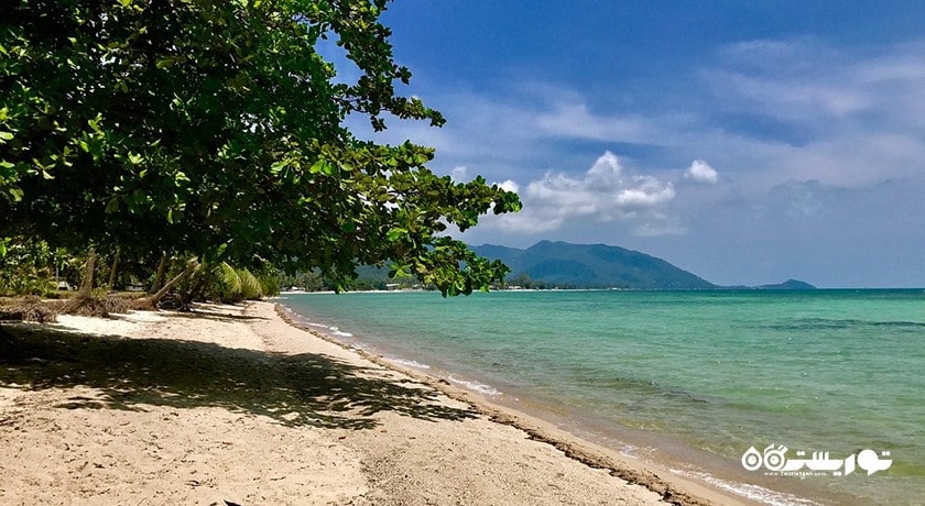 سرگرمی حمام آفتاب و شنا در سواحل کو سامویی شهر تایلند کشور کو سامویی