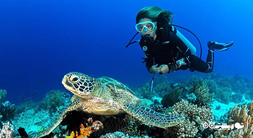 سرگرمی سفر به کو پانگان با قایق شهر تایلند کشور کو سامویی